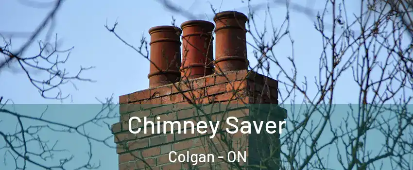  Chimney Saver Colgan - ON