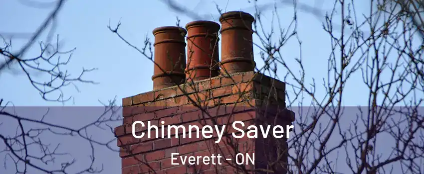  Chimney Saver Everett - ON