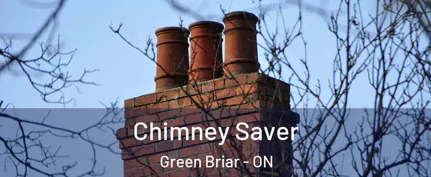  Chimney Saver Green Briar - ON