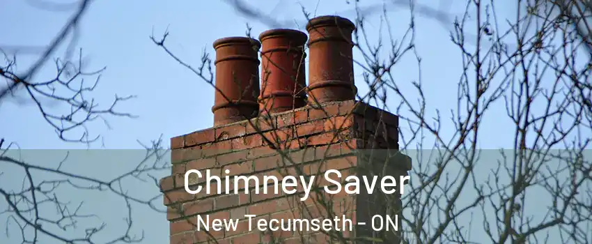  Chimney Saver New Tecumseth - ON