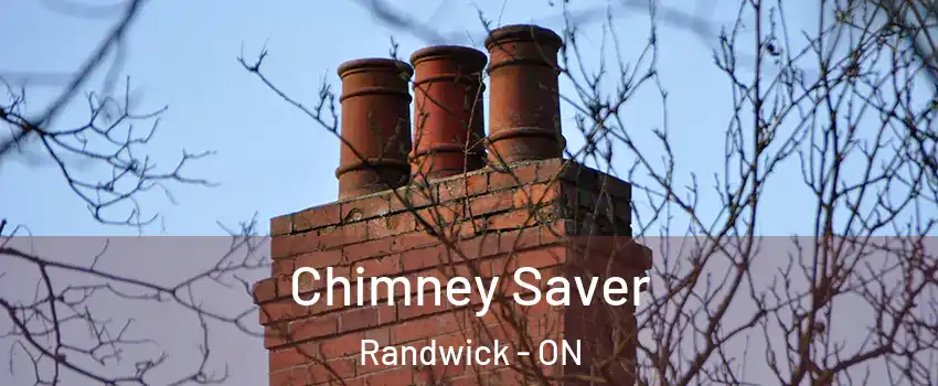  Chimney Saver Randwick - ON