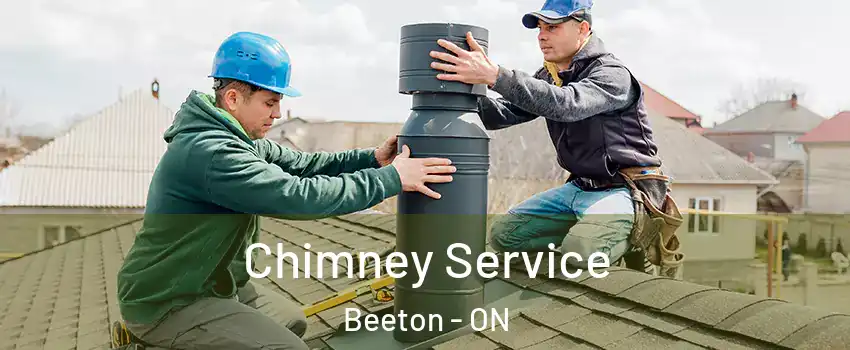  Chimney Service Beeton - ON