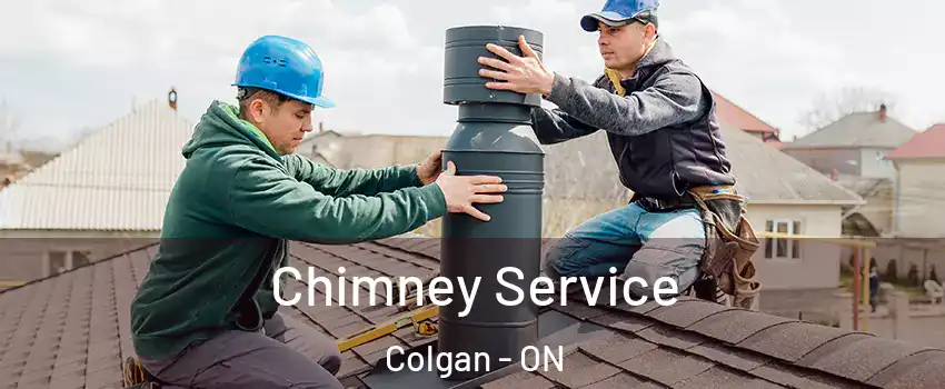  Chimney Service Colgan - ON