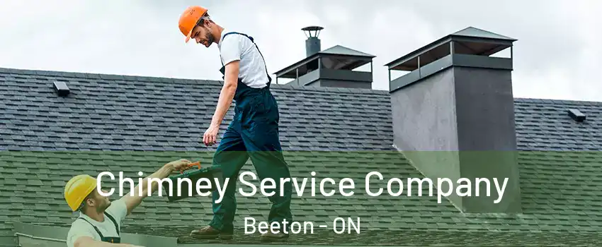  Chimney Service Company Beeton - ON