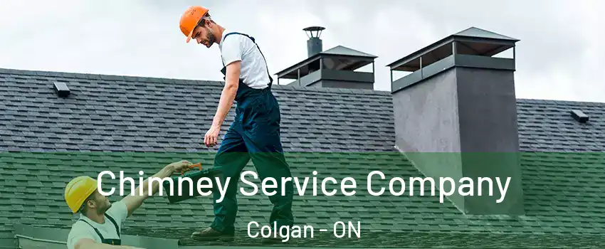  Chimney Service Company Colgan - ON