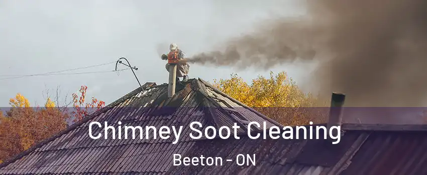  Chimney Soot Cleaning Beeton - ON