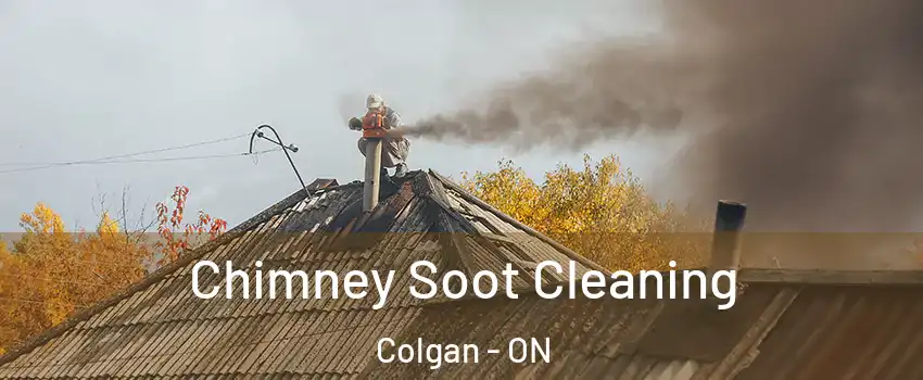  Chimney Soot Cleaning Colgan - ON