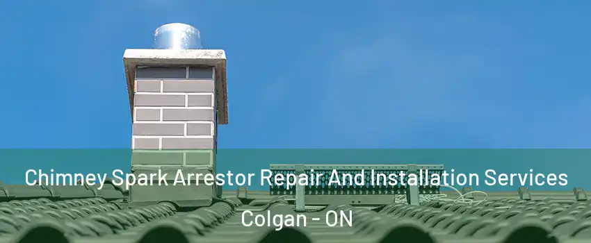  Chimney Spark Arrestor Repair And Installation Services Colgan - ON