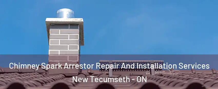  Chimney Spark Arrestor Repair And Installation Services New Tecumseth - ON