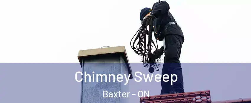  Chimney Sweep Baxter - ON