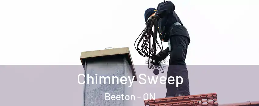  Chimney Sweep Beeton - ON