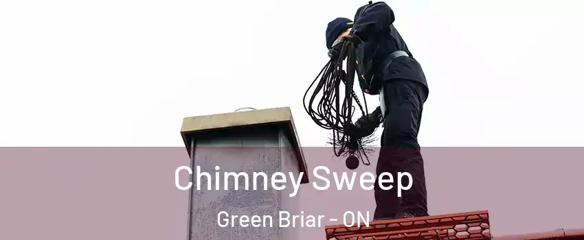  Chimney Sweep Green Briar - ON