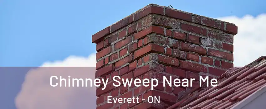  Chimney Sweep Near Me Everett - ON