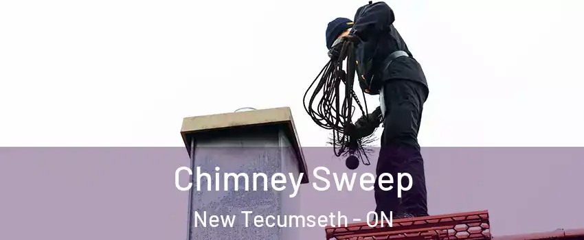  Chimney Sweep New Tecumseth - ON