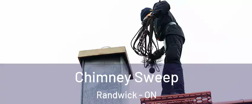  Chimney Sweep Randwick - ON
