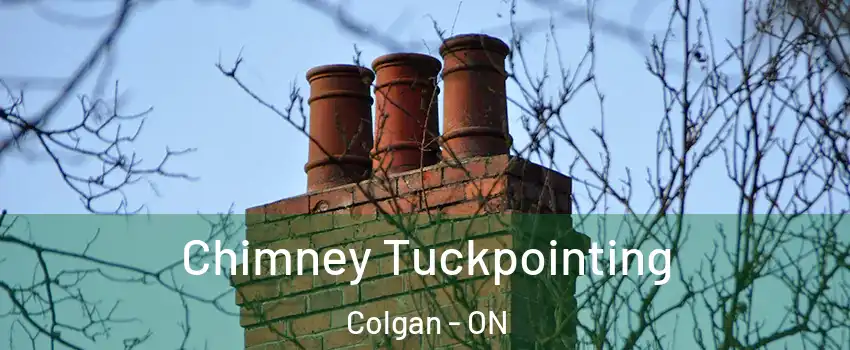  Chimney Tuckpointing Colgan - ON