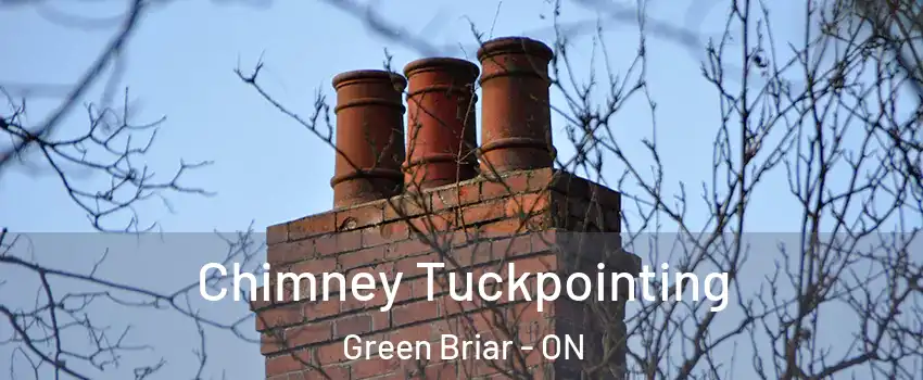  Chimney Tuckpointing Green Briar - ON