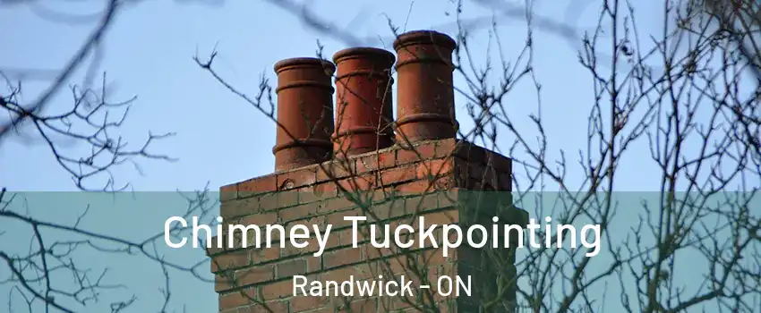  Chimney Tuckpointing Randwick - ON