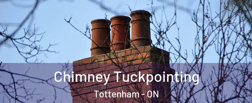  Chimney Tuckpointing Tottenham - ON