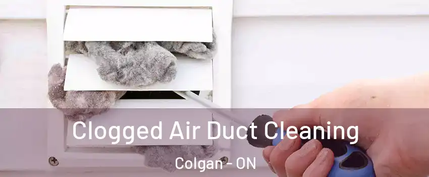  Clogged Air Duct Cleaning Colgan - ON