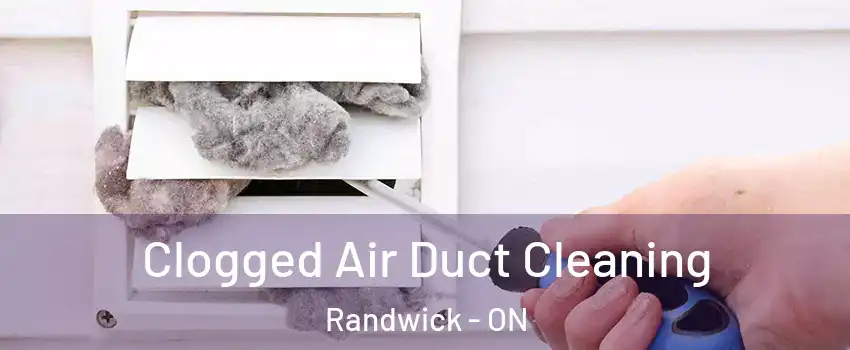  Clogged Air Duct Cleaning Randwick - ON
