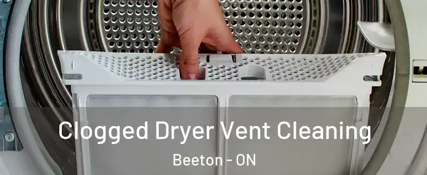  Clogged Dryer Vent Cleaning Beeton - ON