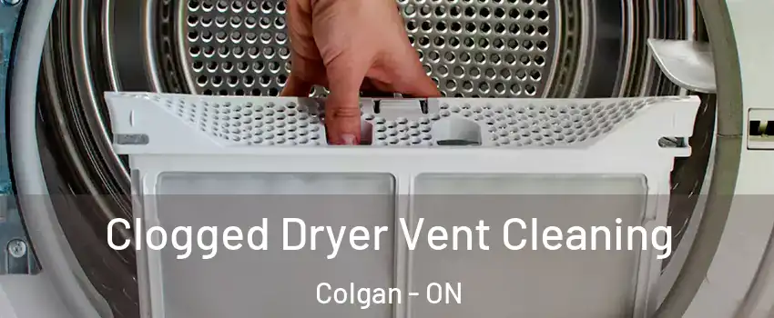  Clogged Dryer Vent Cleaning Colgan - ON
