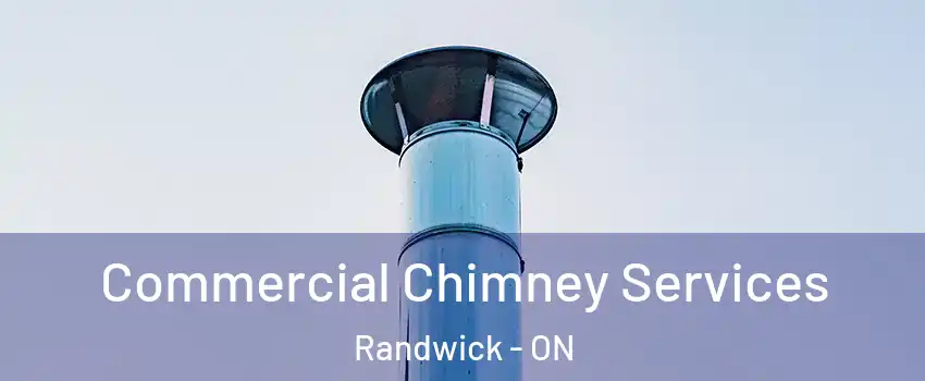  Commercial Chimney Services Randwick - ON
