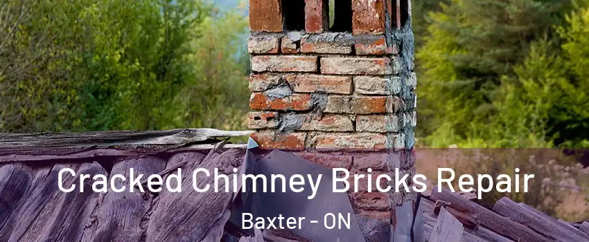  Cracked Chimney Bricks Repair Baxter - ON