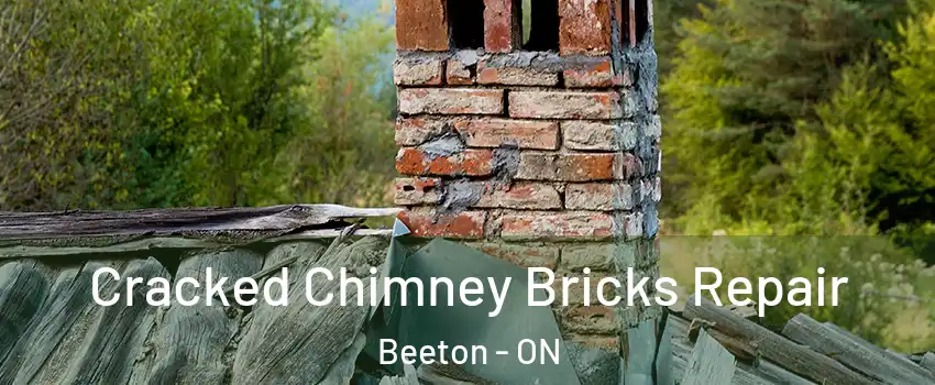  Cracked Chimney Bricks Repair Beeton - ON
