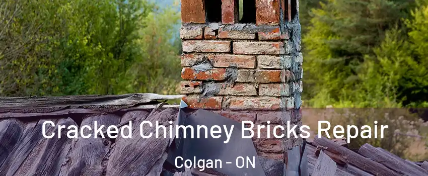  Cracked Chimney Bricks Repair Colgan - ON