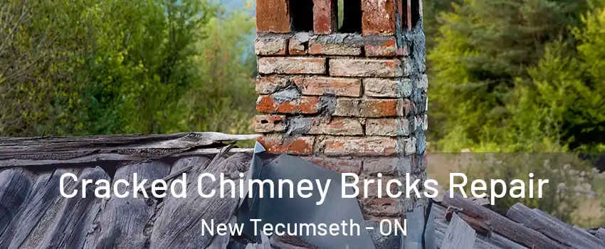  Cracked Chimney Bricks Repair New Tecumseth - ON