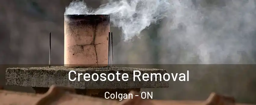  Creosote Removal Colgan - ON
