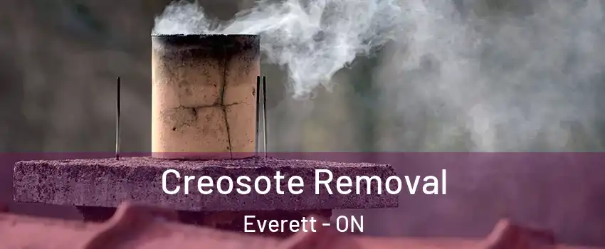  Creosote Removal Everett - ON