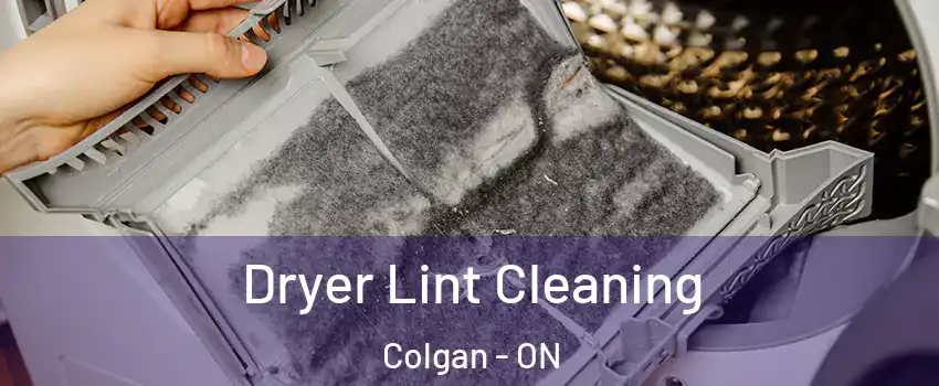  Dryer Lint Cleaning Colgan - ON