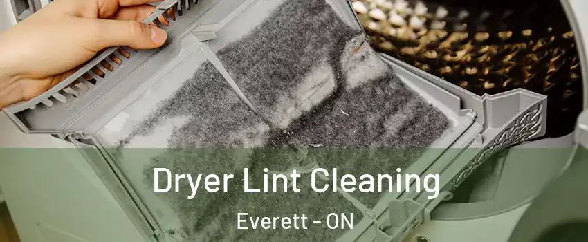  Dryer Lint Cleaning Everett - ON