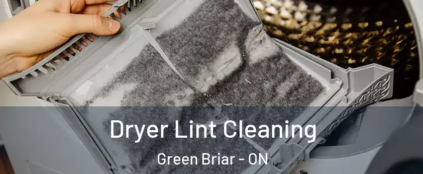  Dryer Lint Cleaning Green Briar - ON
