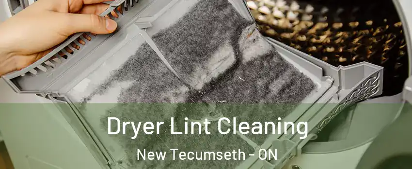  Dryer Lint Cleaning New Tecumseth - ON
