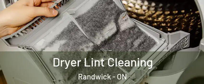  Dryer Lint Cleaning Randwick - ON