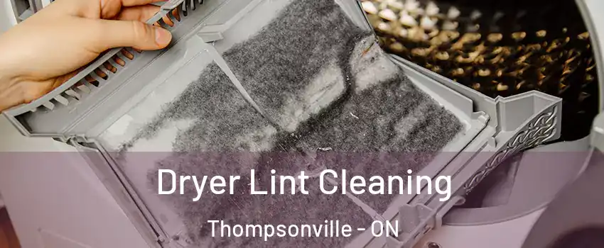  Dryer Lint Cleaning Thompsonville - ON
