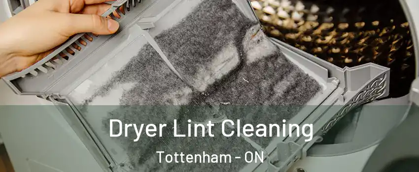  Dryer Lint Cleaning Tottenham - ON