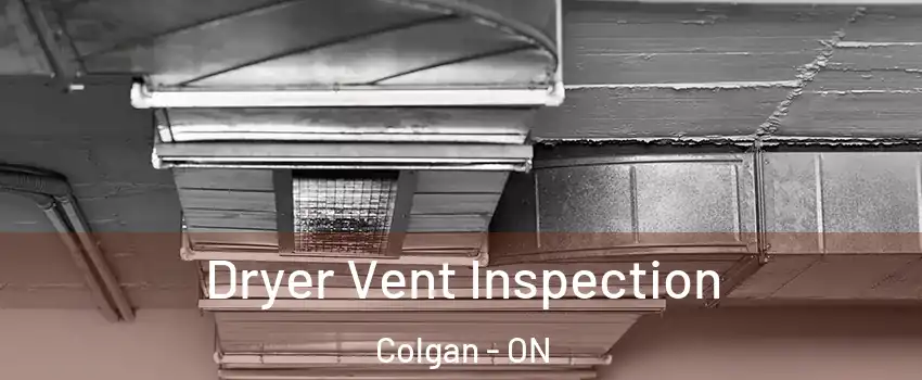 Dryer Vent Inspection Colgan - ON