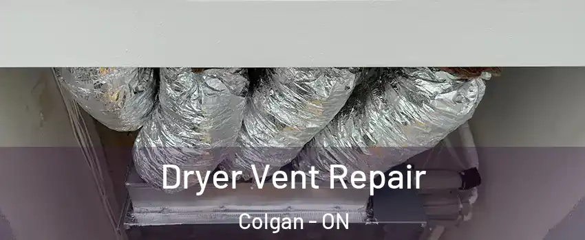  Dryer Vent Repair Colgan - ON
