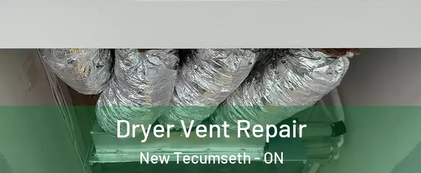  Dryer Vent Repair New Tecumseth - ON