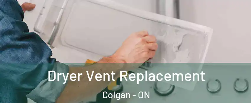  Dryer Vent Replacement Colgan - ON