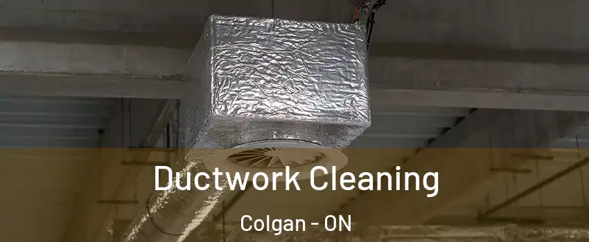  Ductwork Cleaning Colgan - ON