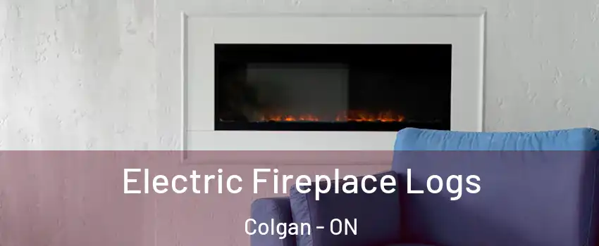 Electric Fireplace Logs Colgan - ON