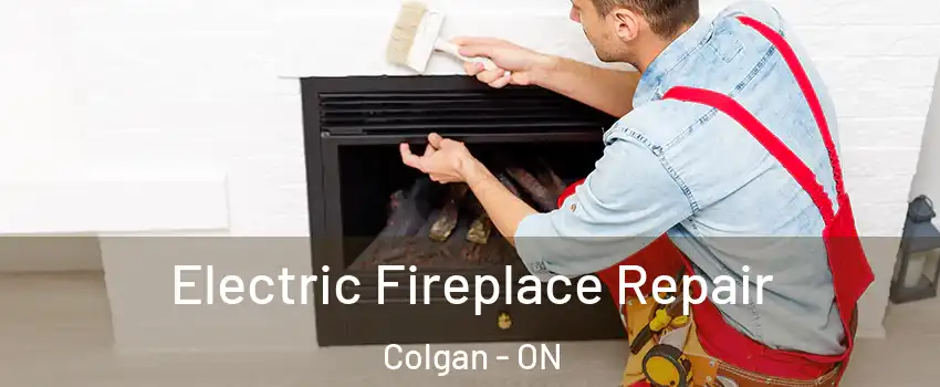  Electric Fireplace Repair Colgan - ON