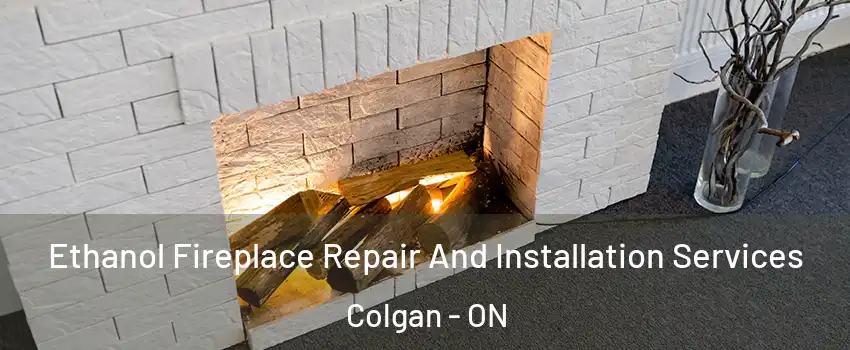  Ethanol Fireplace Repair And Installation Services Colgan - ON