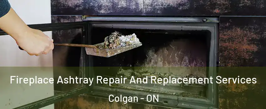  Fireplace Ashtray Repair And Replacement Services Colgan - ON